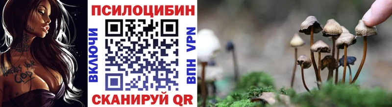 Галлюциногенные грибы Magic Shrooms  MEGA tor  Кизел  нарко площадка официальный сайт  как найти  